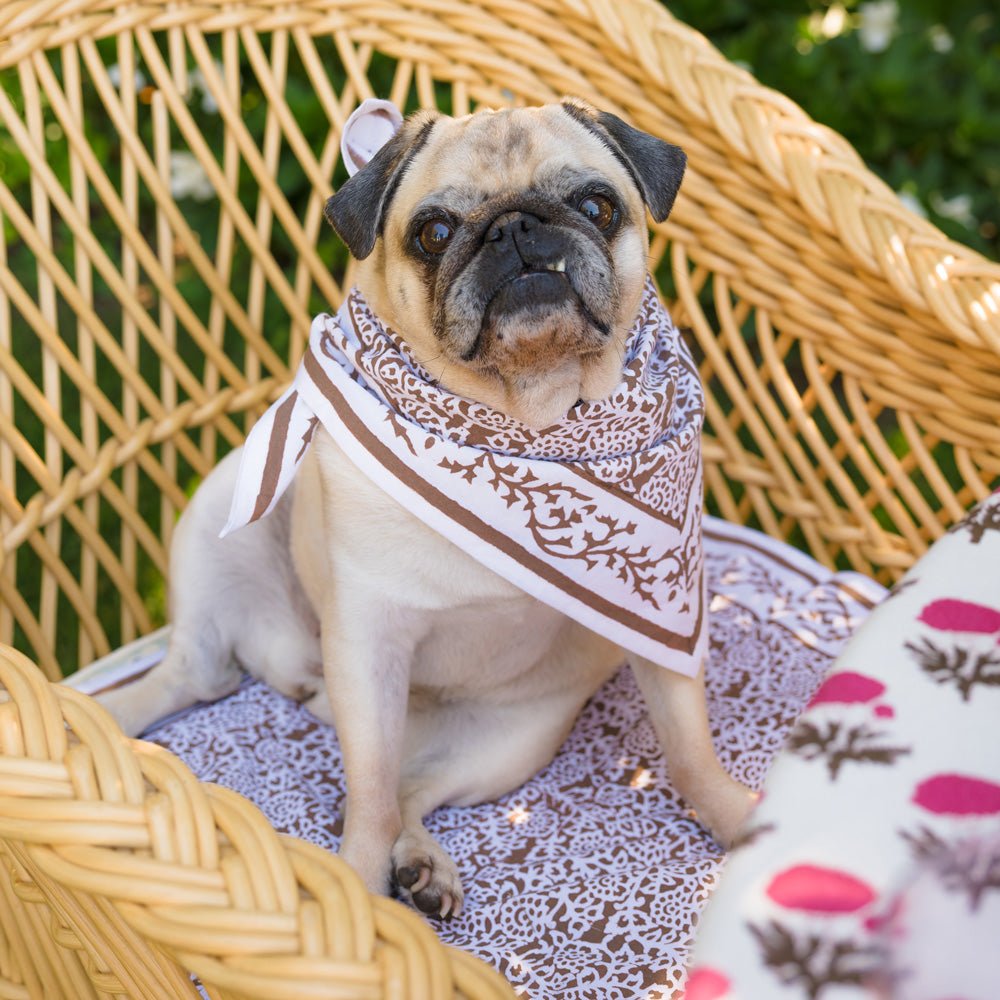 dog wearing tapestry dark chocolate brown napkin as a bandana